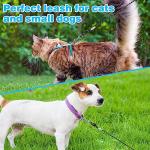 SCIROKKO Reflective Cat Leash, 9m Safe and Durable