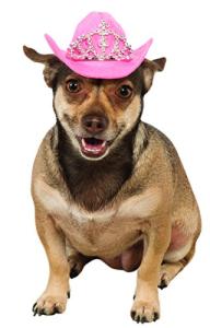 Pink Cowgirl Hat with Tiara for Dogs