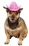 Pink Cowgirl Hat with Tiara for Dogs