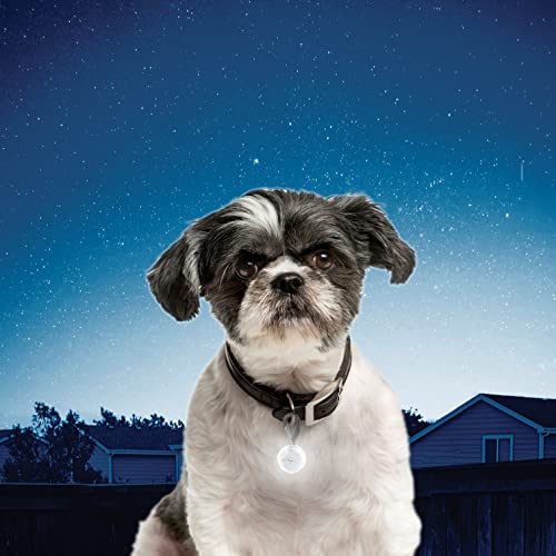 Nite Ize PetLit LED Collar Light, Dog Or Cat Collar Light, Replaceable Batteries, White LED Pink Jewel Design from Nite Ize