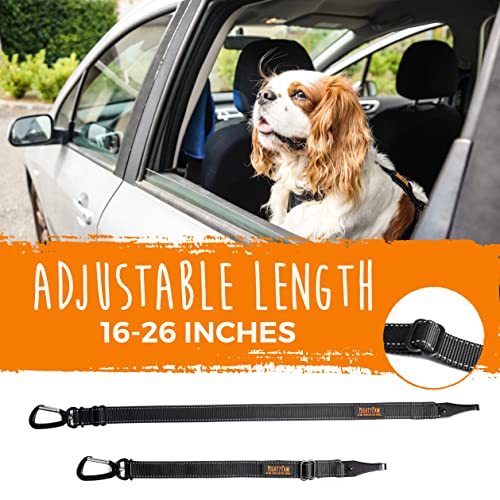 Mighty Paw Safety Belt, Dog Seat Belt, Latch Bar Attachment for Optimal Safety and Security, All Metal Hardware, Tangle-Free Swivel Attachment, Carabiner, Adjustable Length. (Black) by Mighty Paw