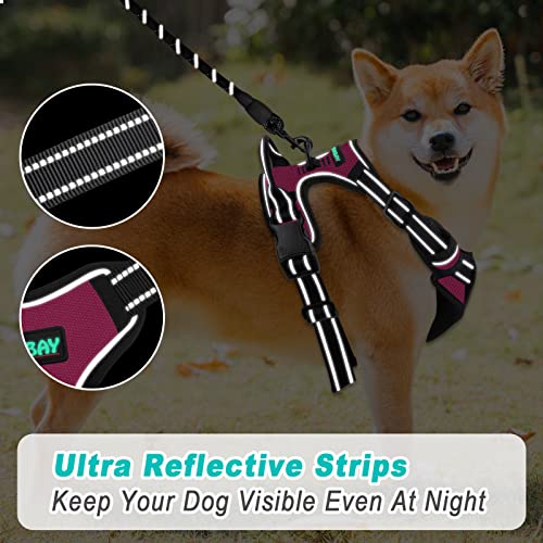 BARKBAY No Pull Pet Harness Dog Harness Adjustable Outdoor Pet Vest 3M Reflective Oxford Material Vest for PINK Dogs Easy Control for Small Medium Large Dogs (L) from BARKBAY