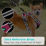 BARKBAY Adjustable No Pull Dog Harness for Pink