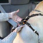 Kurgo Tru-Fit Dog Car Harness with Seatbelt Tether