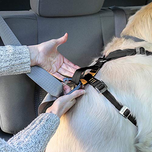 Kurgo Dog Harness | Car Harness for Dogs | Large | BlackPet Safety Seat Belt | Certified Crash Tested Harness | Car Seatbelt | Tru-Fit Enhanced Strength Style by Kurgo