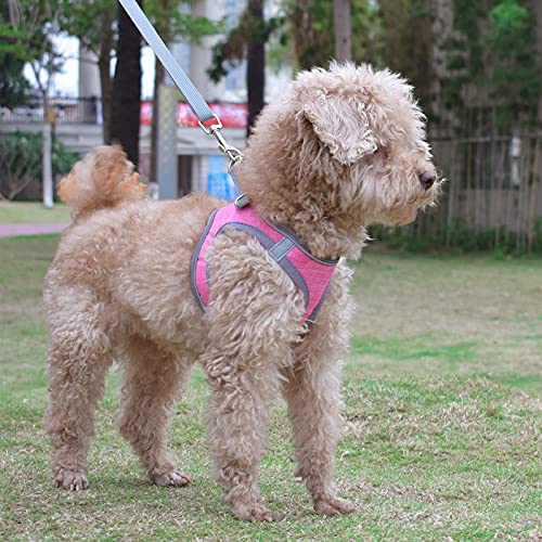 Small Dog Harness, Puppy Harness, Soft Dog Harness and Leash Set with a Reflective Collar for Small Dogs,Comfortable and Reflective Dog Vest Harness, Pink Small from LOCYFENS