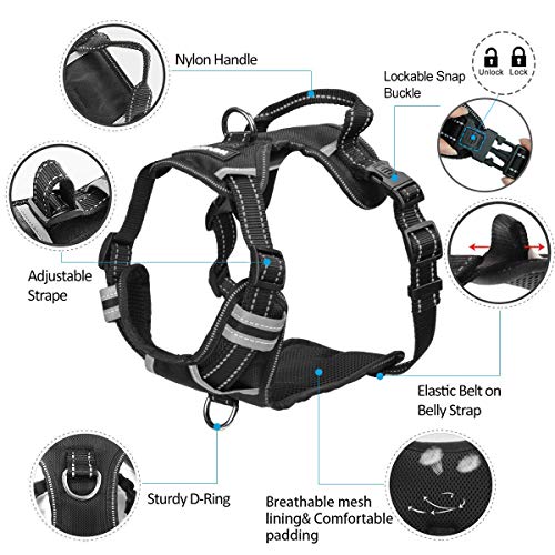 WINSEE Dog Harness No Pull, Pet Harnesses with Dog Collar, Adjustable Reflective Oxford Outdoor Vest, Front/Back Leash Clips for Small, Medium, Large, Extra Large Dogs, Easy Control Handle for Walking from WINSEE