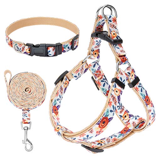 No Pull Dog Harness and Leash Set with Collar - Heavy Duty & Adjustable Basic Harness for Small Medium Dogs & Cats by EXPAWLORER