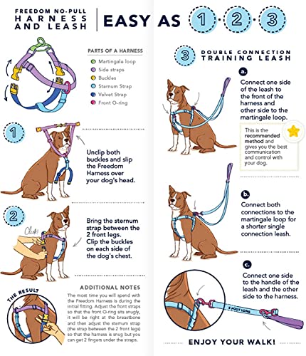2 Hounds Design Freedom No Pull Dog Harness | Adjustable Gentle Comfortable Control for Easy Dog Walking | for Small Medium and Large Dogs | Made in USA | Leash Not Included | 1" LG Teal from 2 Hounds Design