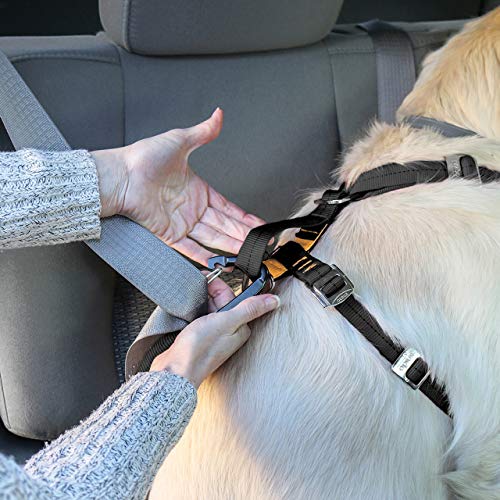 Kurgo Dog Harness | Car Harness for Dogs | Large | BlackPet Safety Seat Belt | Certified Crash Tested Harness | Car Seatbelt | Tru-Fit Enhanced Strength Style by Kurgo