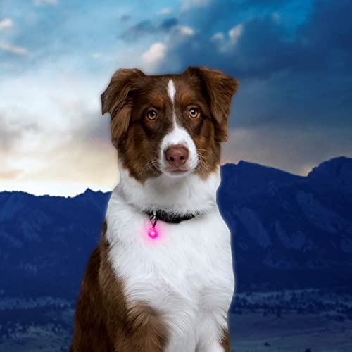 Nite Ize PetLit LED Collar Light, Dog Or Cat Collar Light, Replaceable Batteries, White LED Pink Jewel Design from Nite Ize