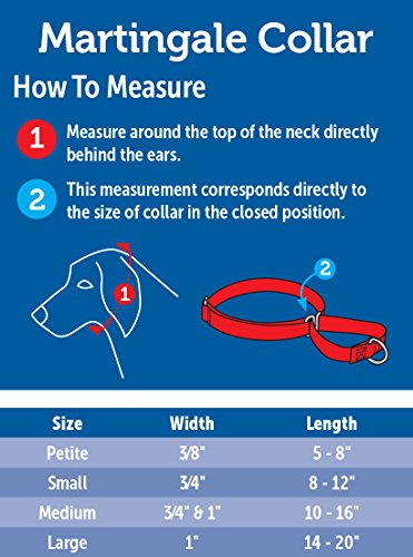 PetSafe Martingale Collar, 1" Large, Royal Blue from Toys & Behavior