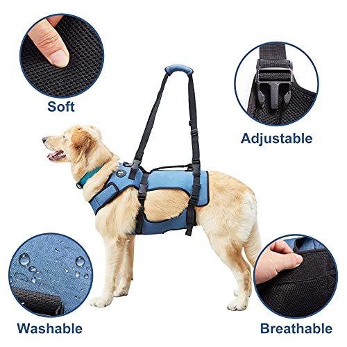 Coodeo Dog Lift Harness, Support & Recovery Sling, Pet Rehabilitation Lifts Vest Adjustable Breathable Straps for Old, Disabled, Joint Injuries, Arthritis, Paralysis Dogs Walk (XLarge) from Hanfu