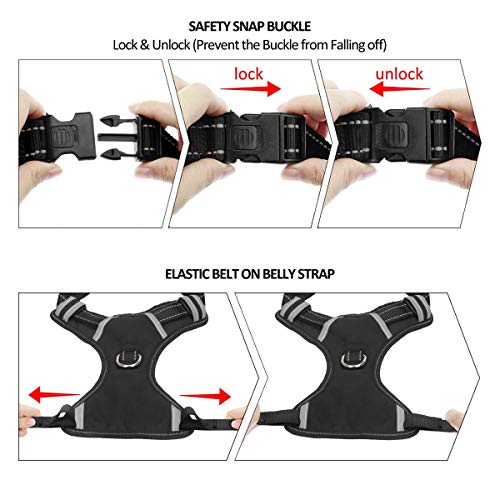 WINSEE Dog Harness No Pull, Pet Harnesses with Dog Collar, Adjustable Reflective Oxford Outdoor Vest, Front/Back Leash Clips for Small, Medium, Large, Extra Large Dogs, Easy Control Handle for Walking from WINSEE