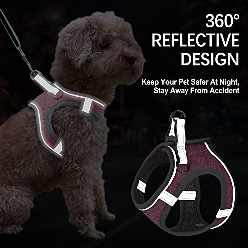 Small Dog Harness, Puppy Harness, Soft Dog Harness and Leash Set with a Reflective Collar for Small Dogs,Comfortable and Reflective Dog Vest Harness, Pink Small from LOCYFENS