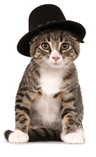 Rubie's Top Hat for Your Pet, Medium/Large from Rubies Costume Company