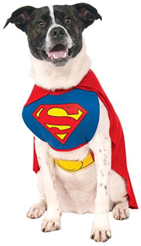 DC Comics Pet Costume, Superman from Rubies Decor