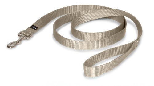 PetSafe Nylon Leash, 1" x 6', Fawn from Toys & Behavior