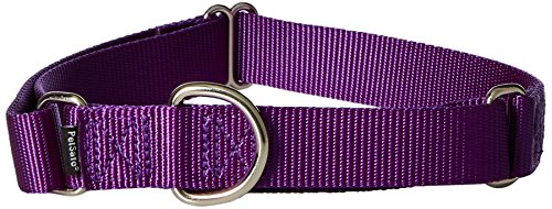 PetSafe Martingale Collar, 1" Large, Deep Purple from Toys & Behavior