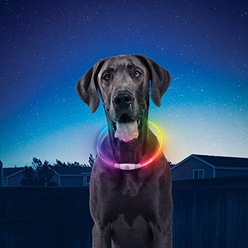 Nite Howl Rechargeable LED Safety Necklace with Disc-O Select Choose-Your-Color LED, Reusable Visibility Necklace for Pets by Nite Ize