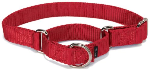PetSafe Martingale Collar 1" Large, Red from Toys & Behavior