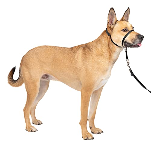 15% Off PetSafe Collars, Leashes & Harnesses