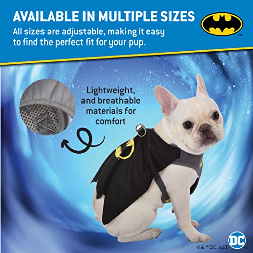 DC Comics for Pets Batman Harness for Dogs in Size Small | Gray Superhero Dog Harness Dog Costume | Harness for Small Dog Breeds, Fun and Cute Dog Halloween Costume from Fetch for Pets