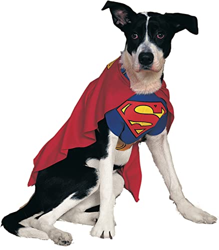DC Comics Pet Costume, Superman from Rubies Decor