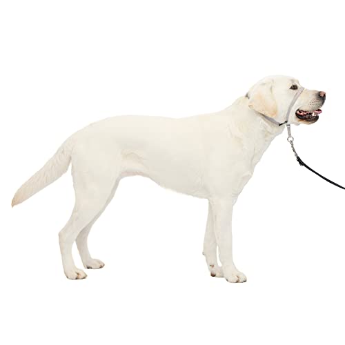 PetSafe Gentle Leader Headcollar, No-Pull Dog Collar â Perfect for Leash & Harness Training â Stops Pets from Pulling and Choking on Walks â Large, Silver by Toys & Behavior