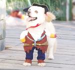 NACOCO Medium Pirate Dog Costume for Pets
