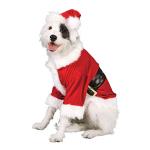 Santa Claus Costume for Medium Pets