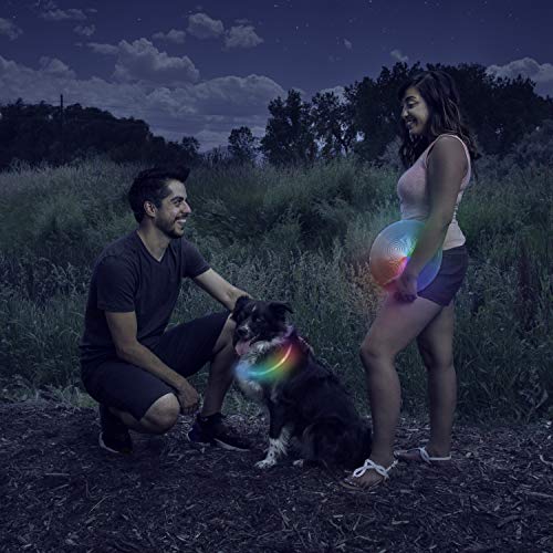 Nite Howl Rechargeable LED Safety Necklace with Disc-O Select Choose-Your-Color LED, Reusable Visibility Necklace for Pets by Nite Ize