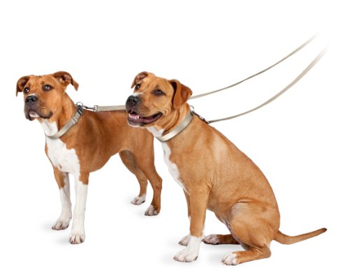 PetSafe Nylon Leash, 1" x 6', Fawn from Toys & Behavior