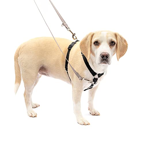 PetSafe Sure-Fit Harness, Adjustable Dog Harness from the Makers of the Easy Walk Harness, BLACK, MEDIUM by Toys & Behavior