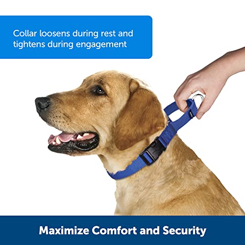 PetSafe Martingale Collar with Quick Snap Buckle, 1" Large, Red from Toys & Behavior
