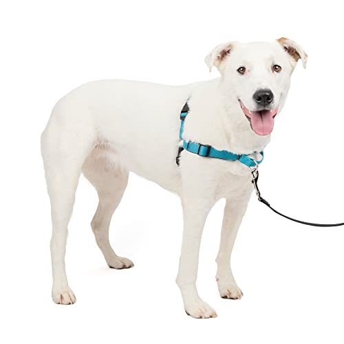 PetSafe Easy Walk Deluxe Dog Harness, No Pull Dog Harness â Perfect for Leash & Harness Training â Stops Pets from Pulling and Choking on Walks â Ocean Blue by Toys & Behavior