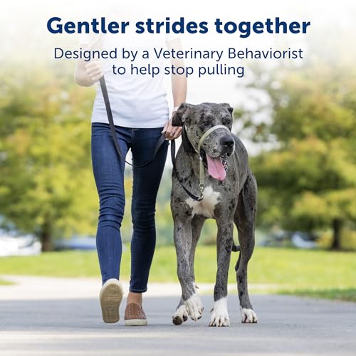 PetSafe Gentle Leader Headcollar, No-Pull Dog Collar â Perfect for Leash & Harness Training â Stops Pets from Pulling and Choking on Walks â Large, Silver by Toys & Behavior