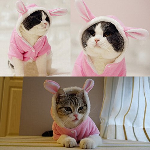 Bro'Bear Plush Rabbit Outfit with Hood & Bunny Ears for Small Dogs & Cats Pink (Medium) by Bolbove