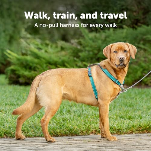 PetSafe 3 in 1 Harness - Fully Adjustable No-Pull Dog Harness - from The Makers of The Easy Walk Harness - Medium, Teal from Toys & Behavior
