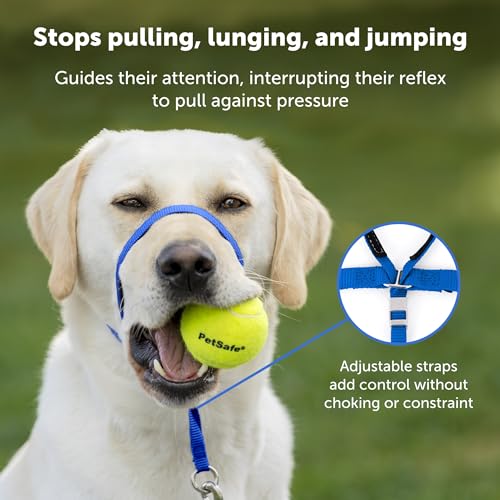 PetSafe Gentle Leader Headcollar, No-Pull Dog Collar, Perfect for Leash & Harness Training, Stops Pets from Pulling and Choking on Walks, Medium, Black from Toys & Behavior