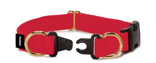 Petsafe KeepSafe Break-Away Collar, Prevent Collar Accidents for your Dog or Puppy, Improve Safety, Compatible with Lead Use, Adjustable Sizes by Toys & Behavior