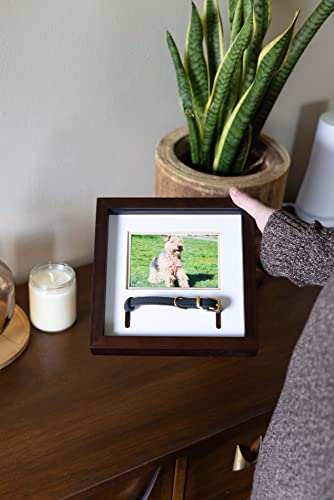 Pearhead Pet Collar Keepsake Picture Frame, Pet Owner Holiday Christmas Gift, Espresso from Pearhead Inc.