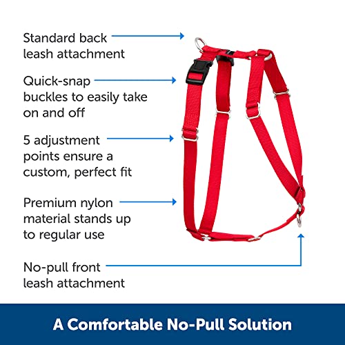 PetSafe Sure-Fit Harness, Adjustable Dog Harness from the Makers of the Easy Walk Harness, BLACK, MEDIUM by Toys & Behavior