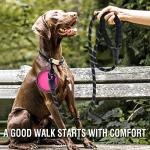 COOYOO Reflective Dog Leash Set with Bowl