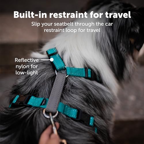 PetSafe 3 in 1 Harness - Fully Adjustable No-Pull Dog Harness - from The Makers of The Easy Walk Harness - Medium, Teal from Toys & Behavior