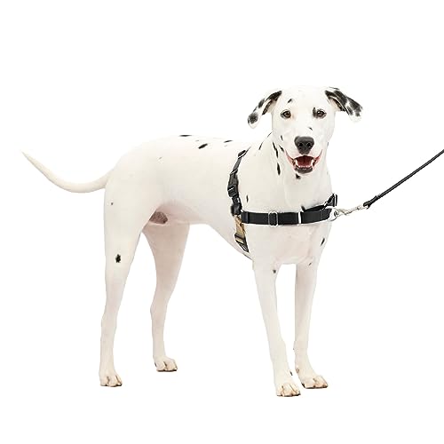 Easy Walk Harness, Medium/Large, Black (EWH HC M/L BLK) from Toys & Behavior
