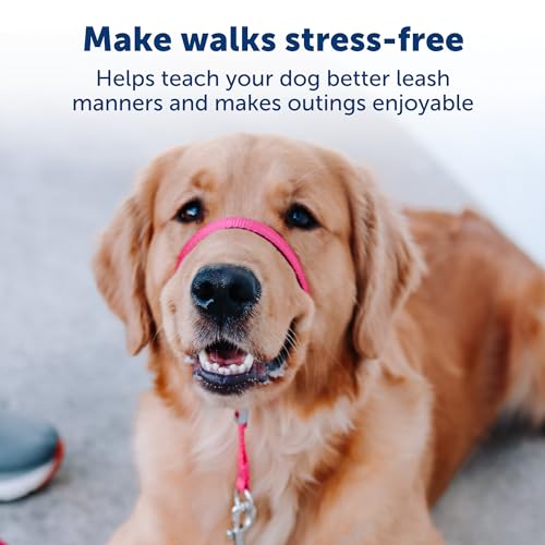 PetSafe Gentle Leader Headcollar, No-Pull Dog Collar, Perfect for Leash & Harness Training, Stops Pets from Pulling and Choking on Walks, Medium, Black from Toys & Behavior