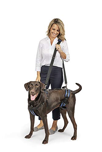 Dog Lifting Aid - Mobility Harness - Large Size by Radio Systems Corporation