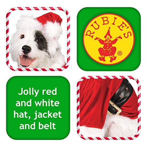 Rubie's Christmas Pet Costume, Santa Claus, Medium by Rubies Decor