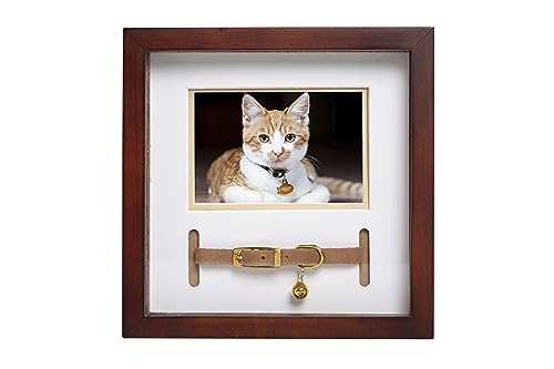 Pearhead Pet Collar Keepsake Picture Frame, Pet Owner Holiday Christmas Gift, Espresso from Pearhead Inc.